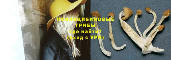 спиды Армянск