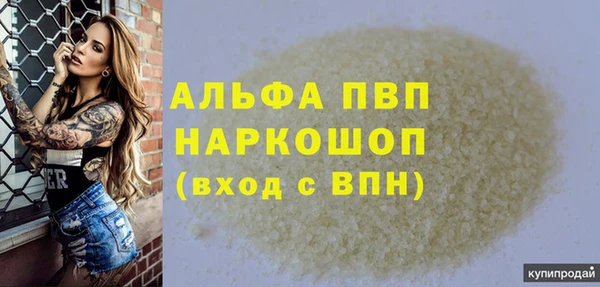 сатива Ахтубинск