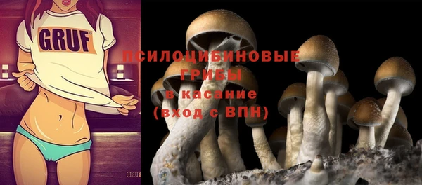 бутират Аркадак