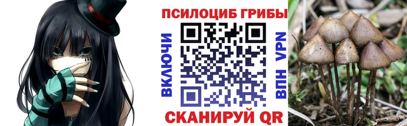 Галлюциногенные грибы мицелий мега ссылка Качканар