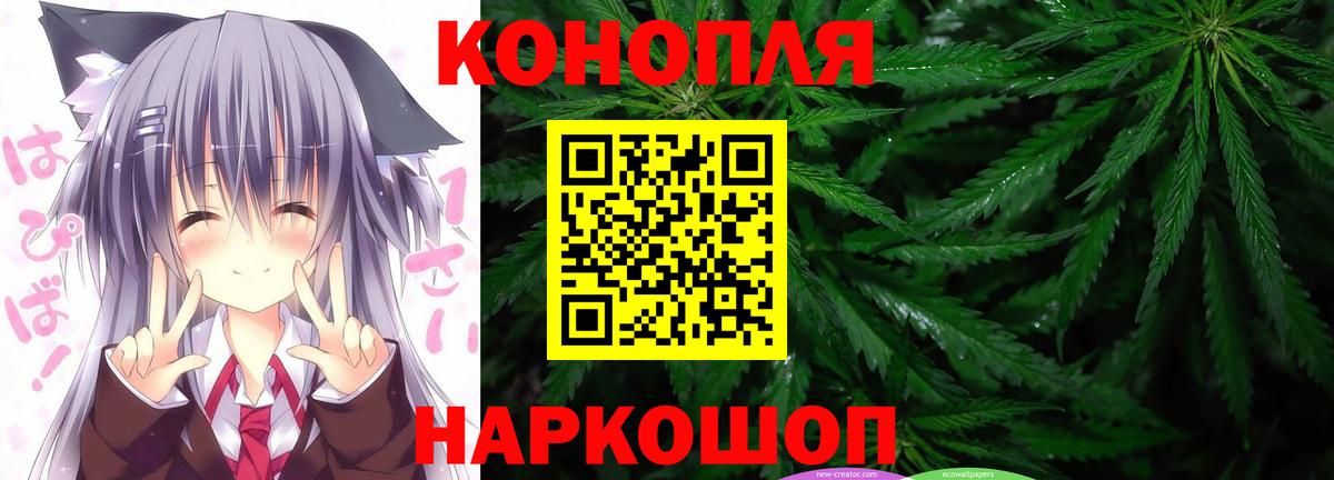Качканар  Бошки марихуана планчик  Бошки Шишки SATIVA & INDICA  Бошки Шишки тримм  Вход с VPN 